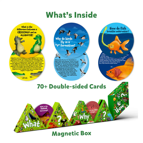 Flash Cards Science Snippets Kit | All About Animals (ages 7+)