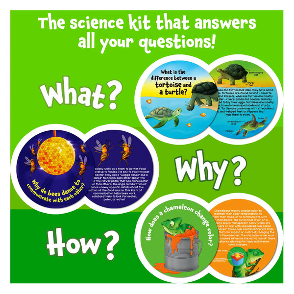 Flash Cards Science Snippets Kit | All About Animals (ages 7+)