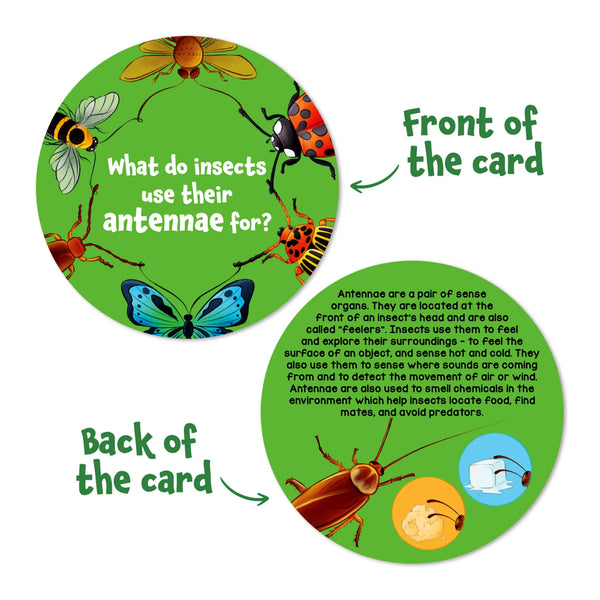 Flash Cards Science Snippets Kit | All About Animals (ages 7+)