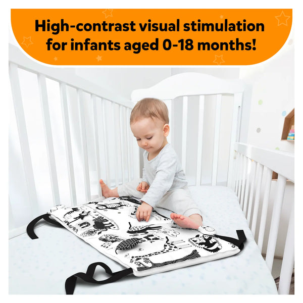 High Contrast Essentials Bundle (ages 0-18 months)