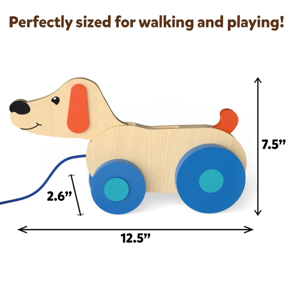 Pooping Puppy | Pull-along Toddler Toy (18 months+)