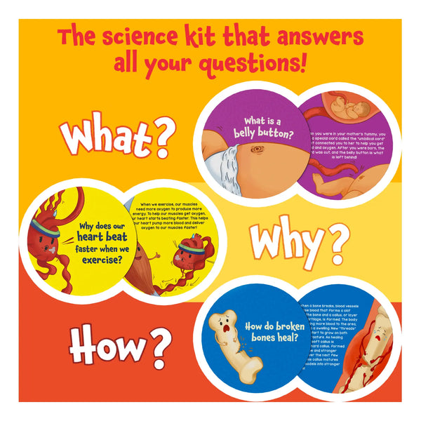 Flash Cards Science Snippets Kit | The Human Body (ages 7+)