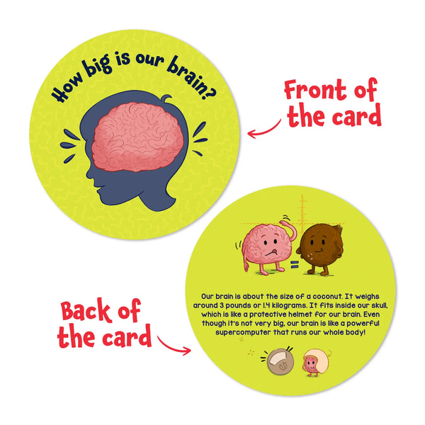 Flash Cards Science Snippets Kit | The Human Body (ages 7+)