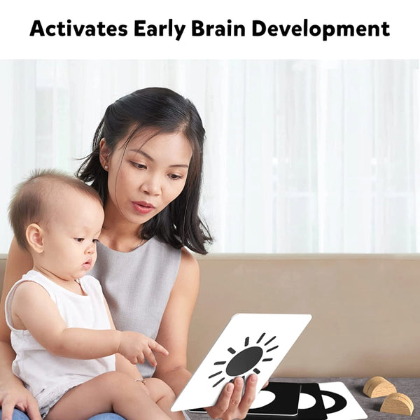 Early Brain Development